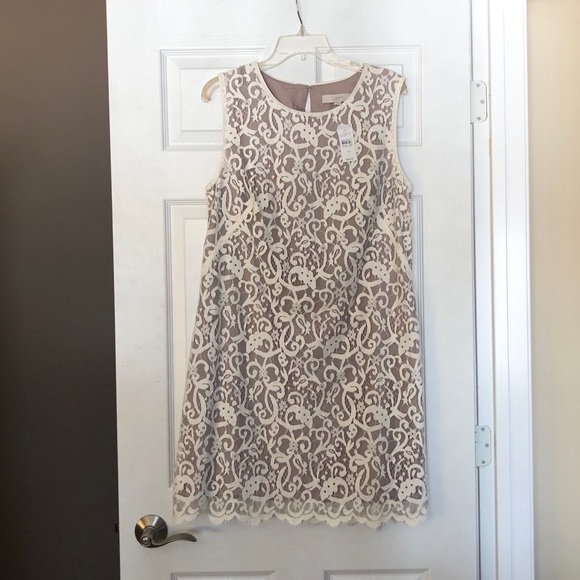 LOFT Dresses & Skirts - 🦋 Loft lace dress, size 14